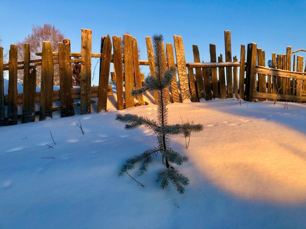 Природное украшение