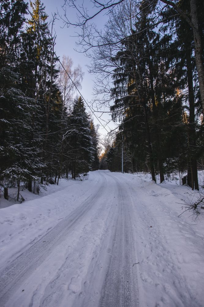 Photograph by Maria Filatova