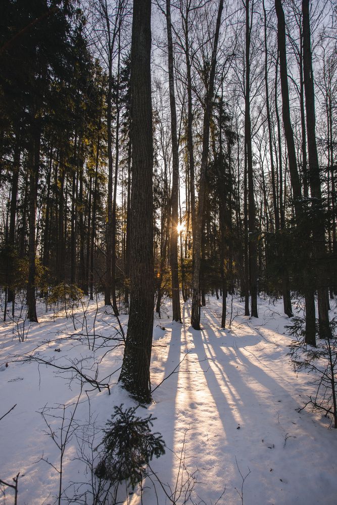 Photograph by Maria Filatova