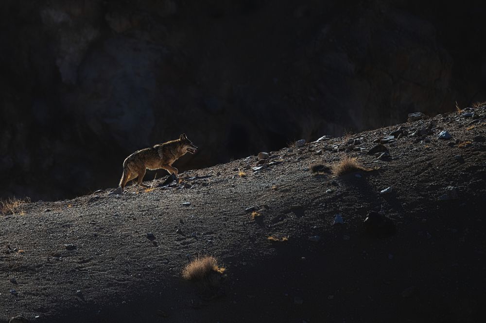 Фотография автора Sudipta Chakraborty