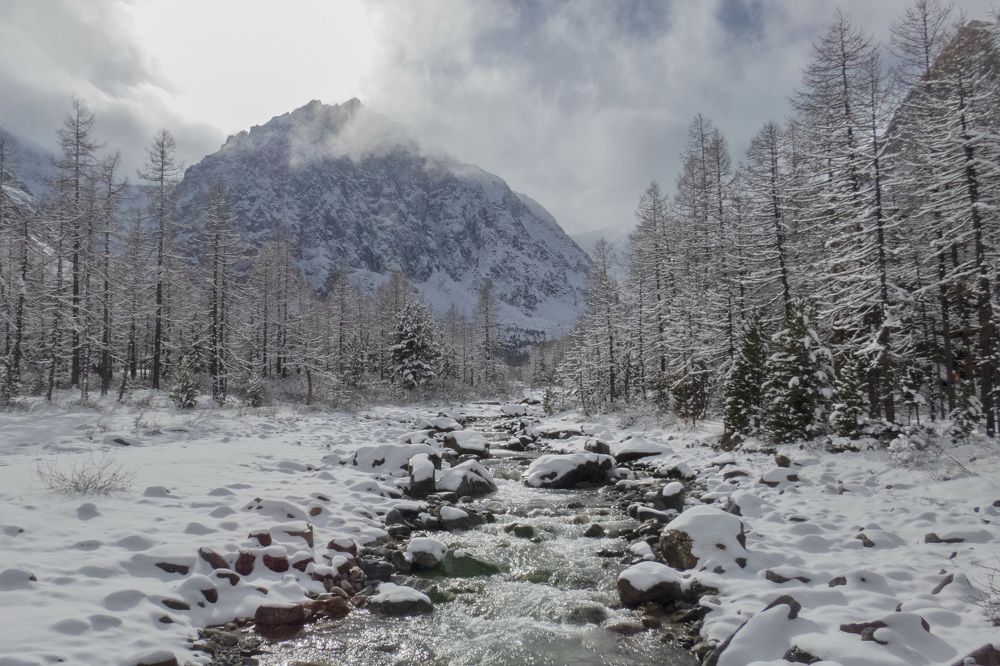 Photograph by Добролюбова Тамара