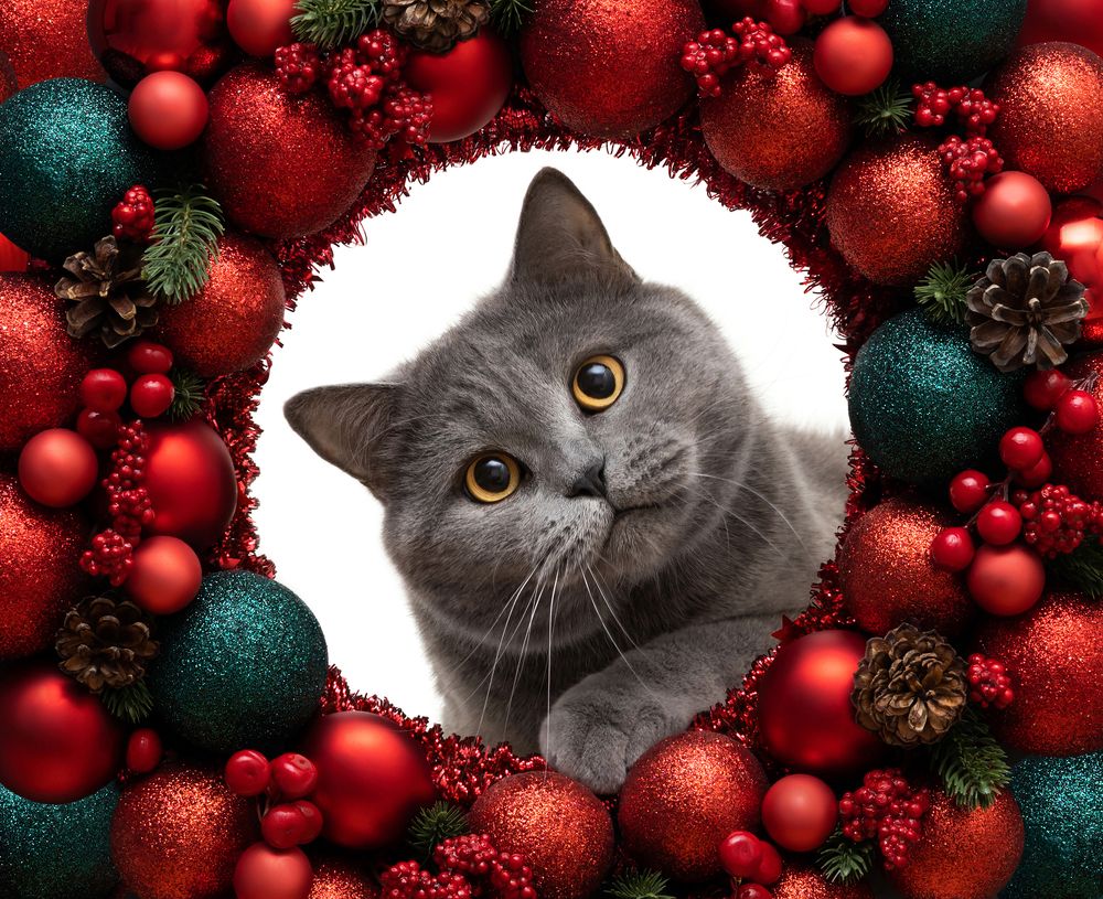 Photograph by Марина Багрова