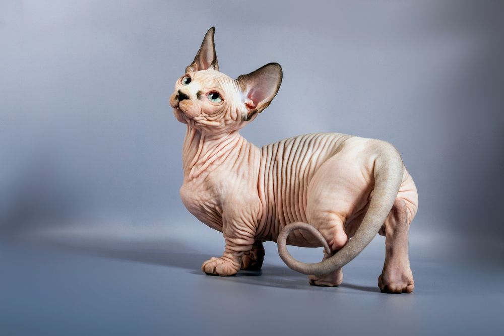 Photograph by Татьяна Ларина