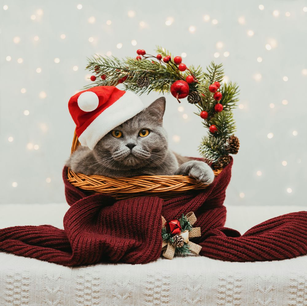 Photograph by Марина Багрова