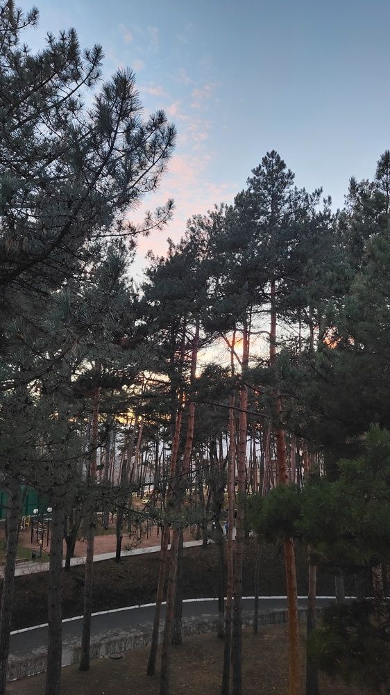 Photo #8690074