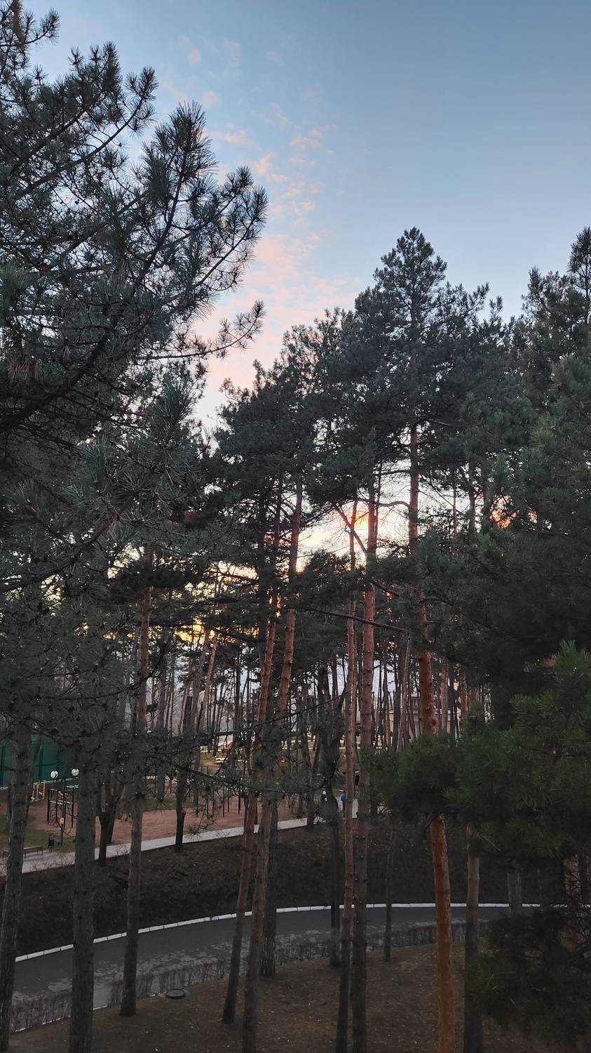 Photo #8690074