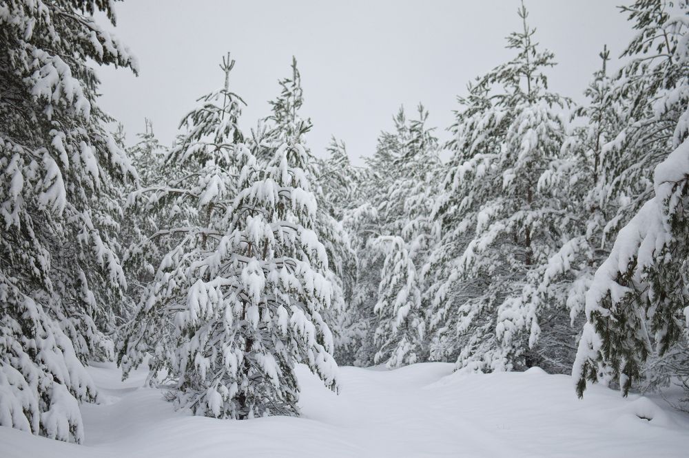 Фотография автора Мария Яропольская
