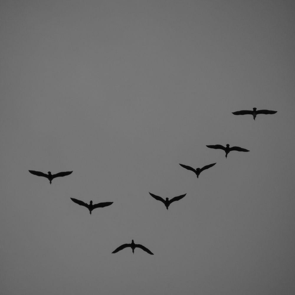 Photograph by Суковач Роман