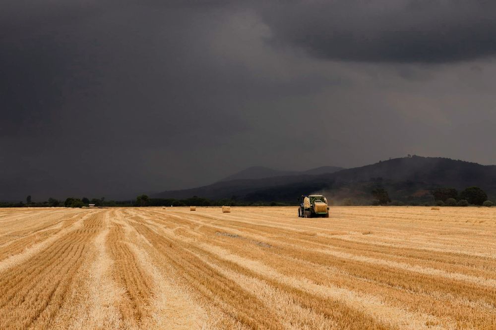 Photograph by Ch Ancuta