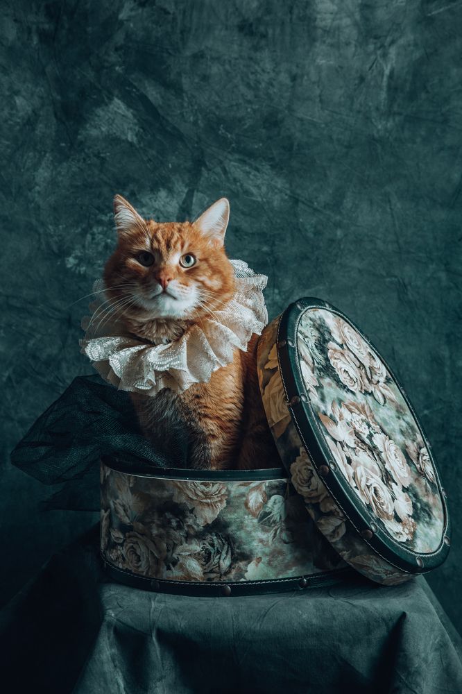 Фотография автора Ольга