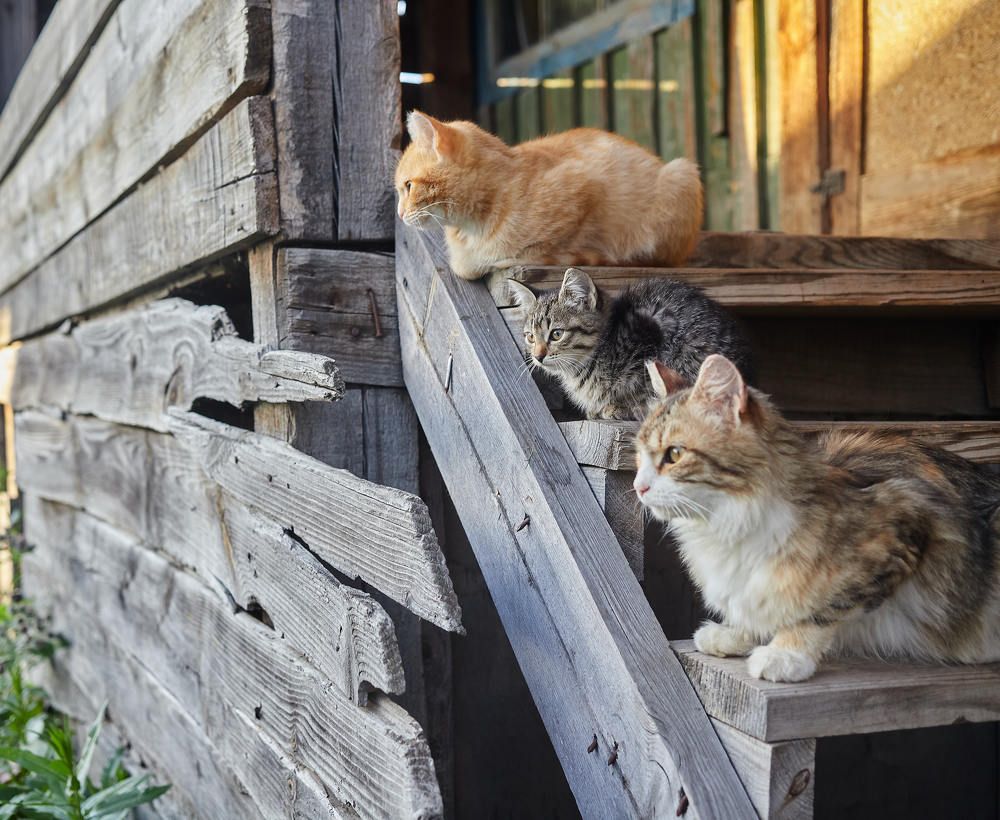 Photograph by Дмитрий Соколов