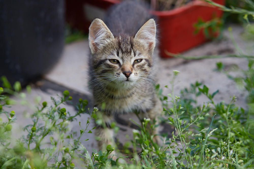 Photograph by Дмитрий Соколов