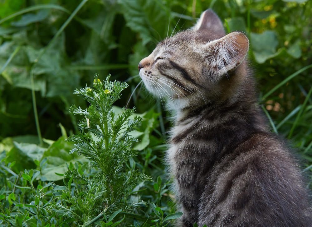 Photograph by Дмитрий Соколов