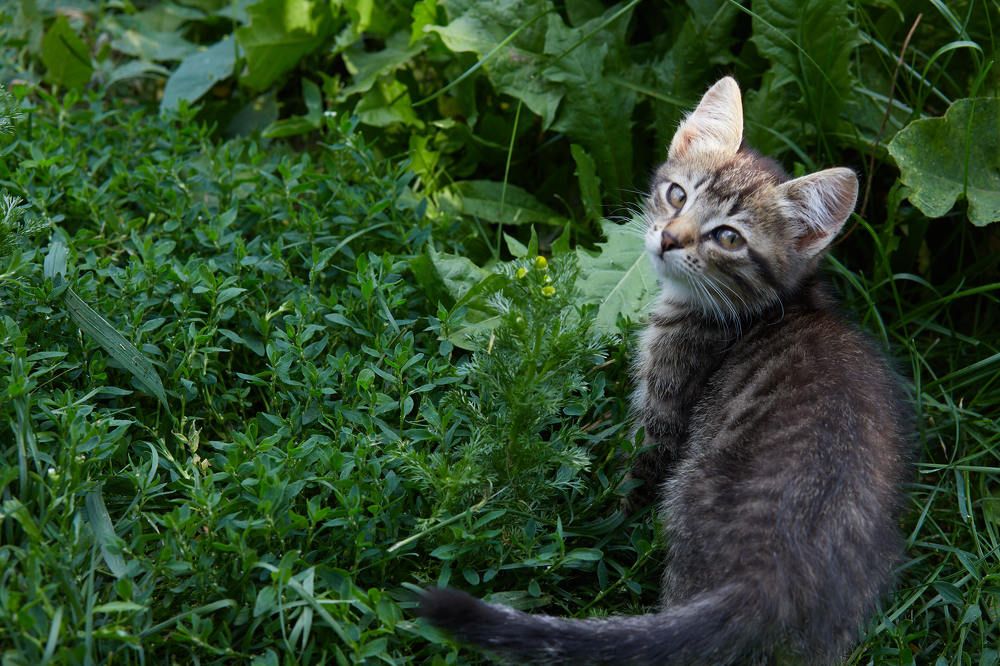 Photograph by Дмитрий Соколов