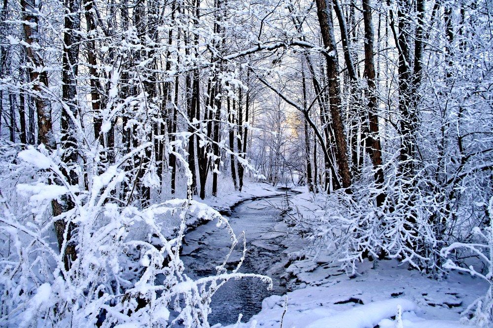 Photograph by эдуард петруша