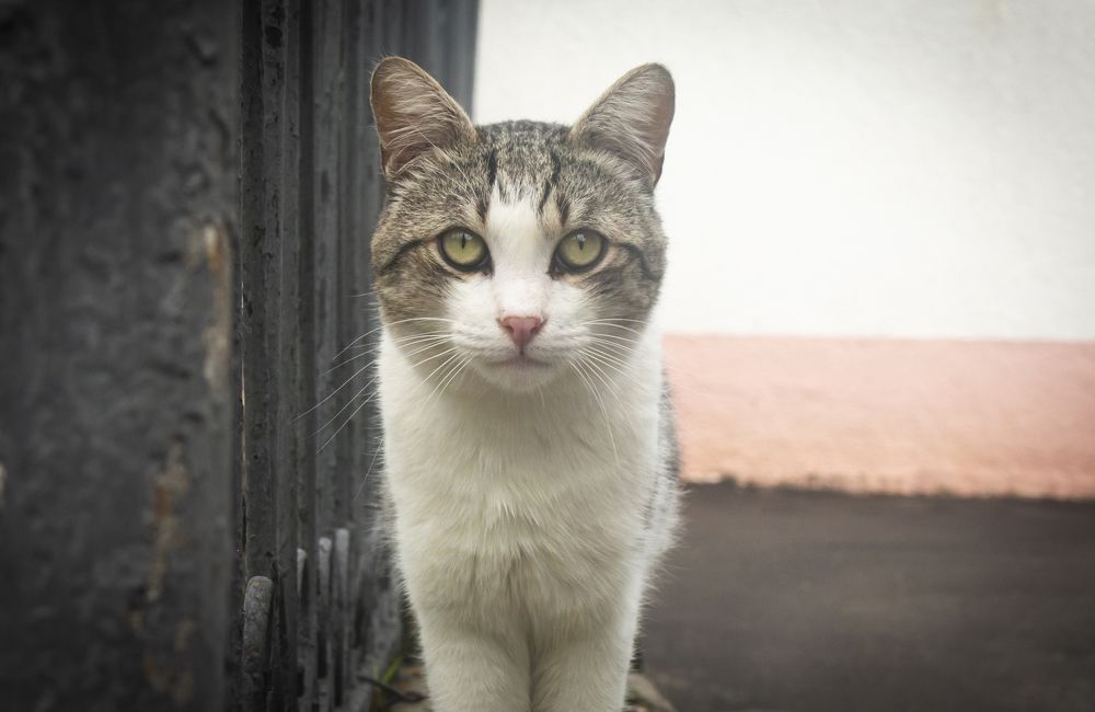 Photograph by Сергей Захаров