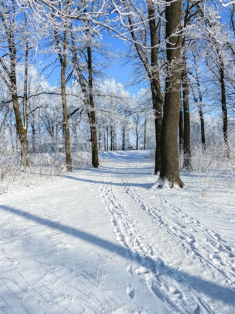 Photograph by Олена Уманцева