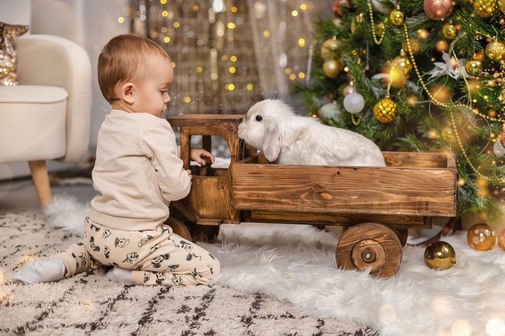 Фотография автора Шатова Ольга