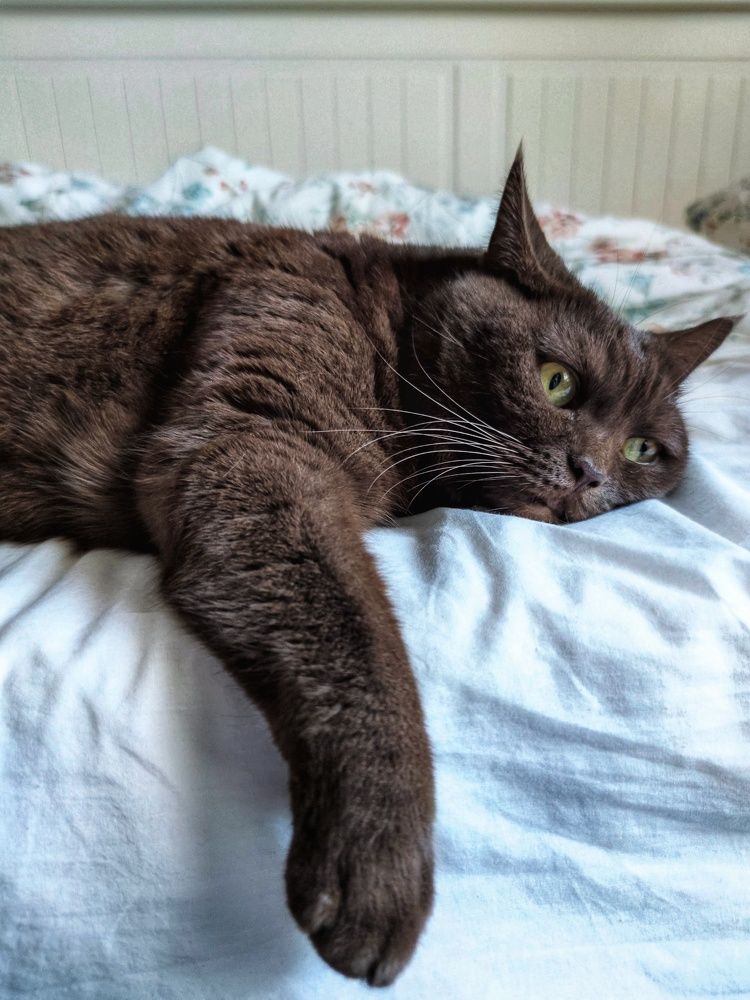 Photograph by Olga Royanova