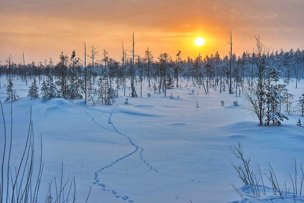 Photograph by Александр Клюев