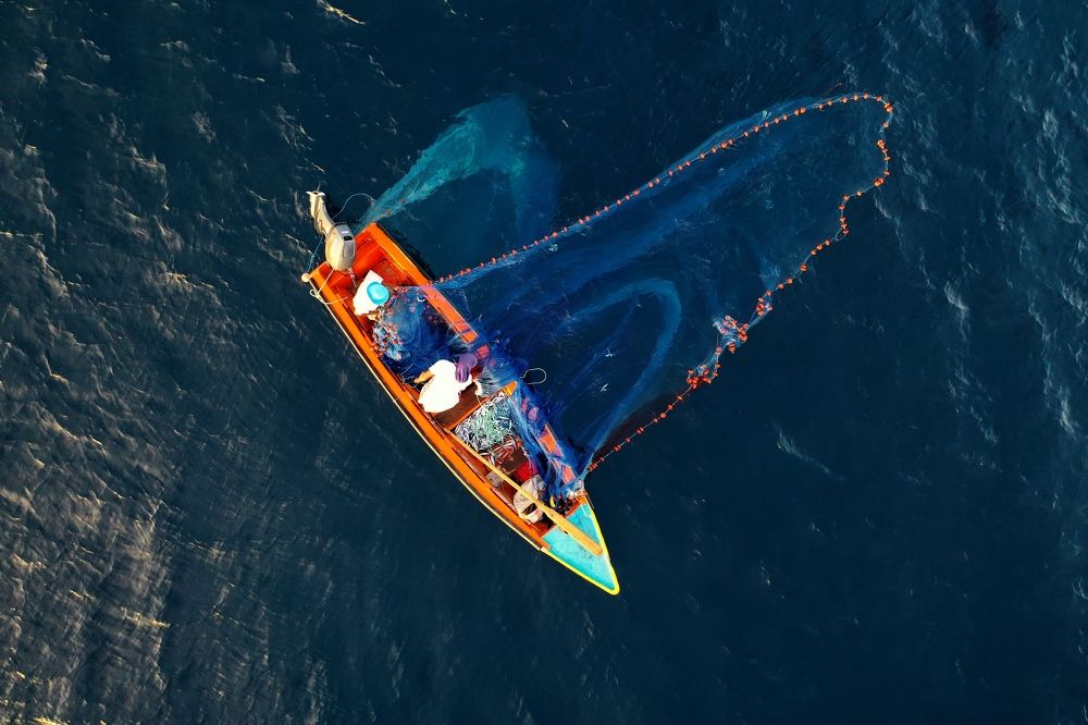 Photograph by BERTRAND B