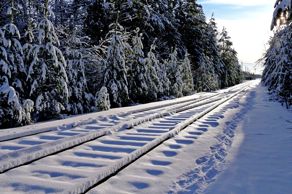 Photograph by эдуард петруша