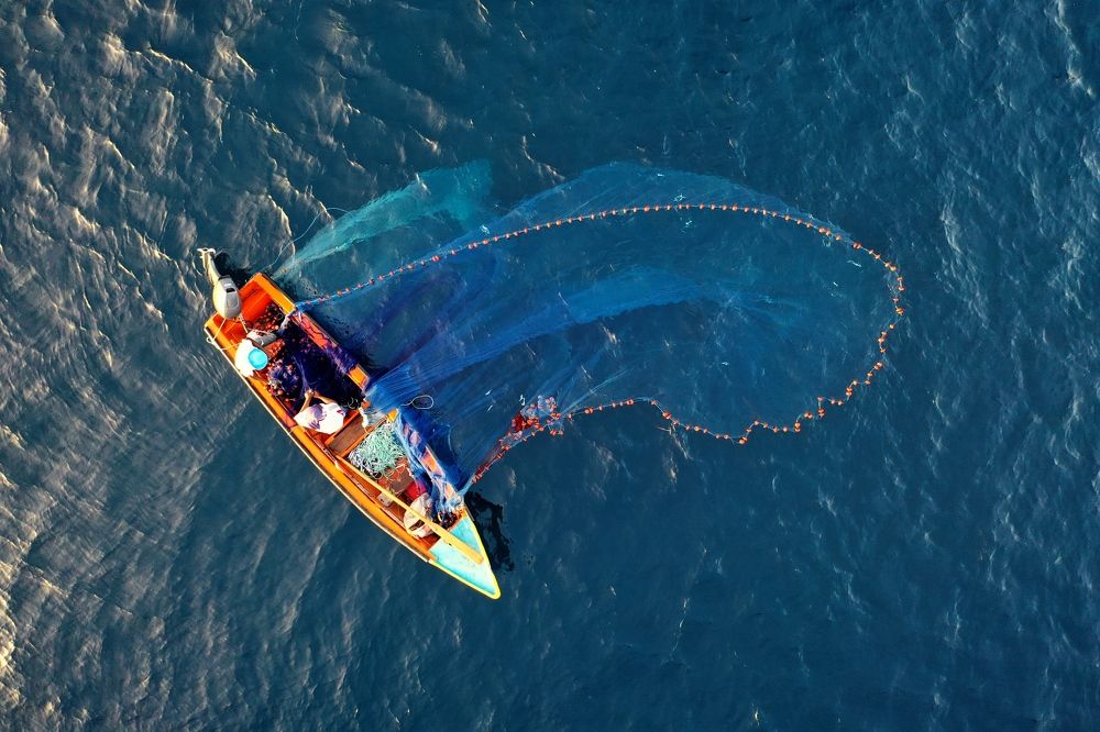 Photograph by BERTRAND B