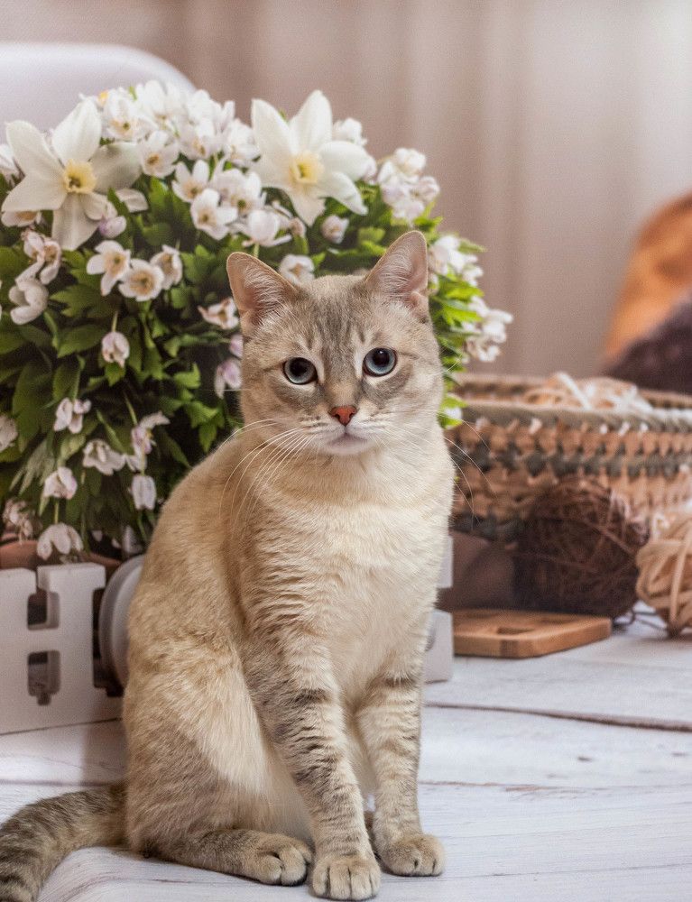 Photograph by Вадим Басов