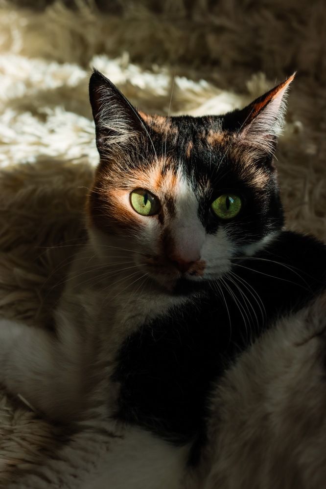 Photograph by Марина Моисеева