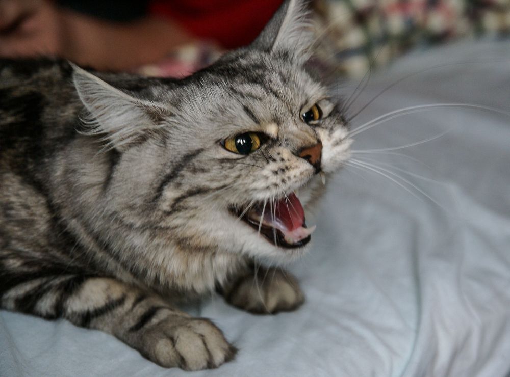 Photograph by Максимова Дария