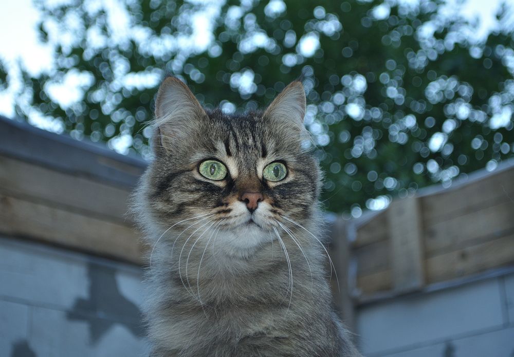 Photograph by Евгения Вакарчук