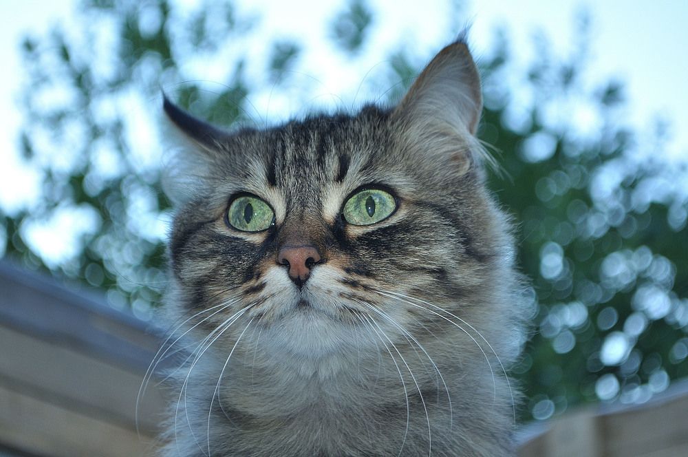 Photograph by Евгения Вакарчук