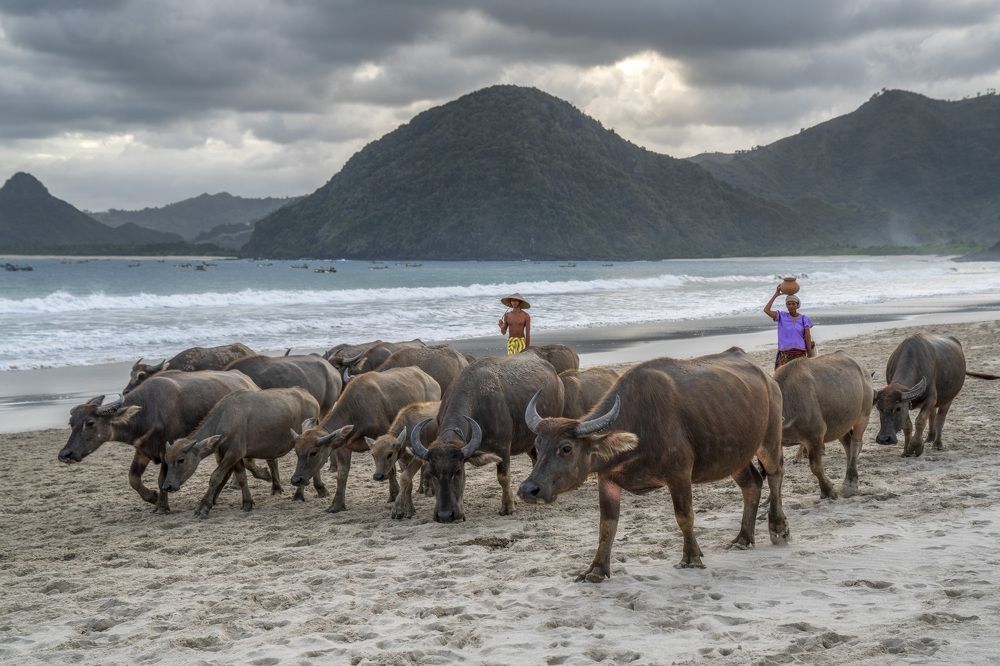 Photograph by Maria Aulia Sandjaja