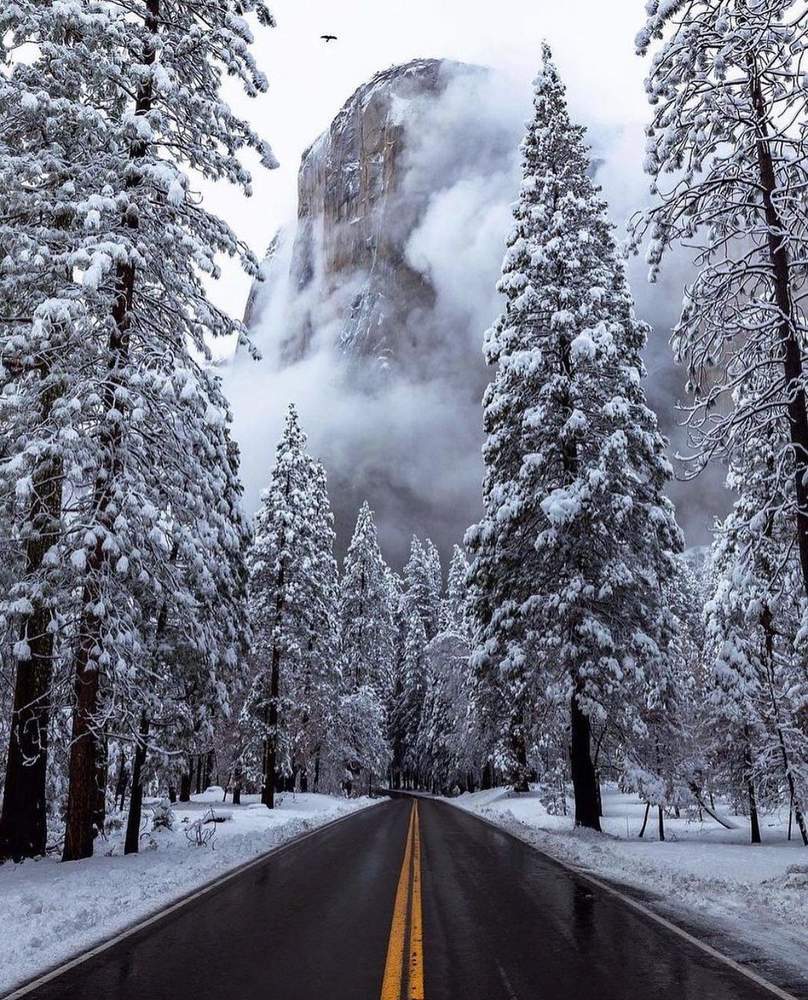 Photograph by Ламара Авалишвили