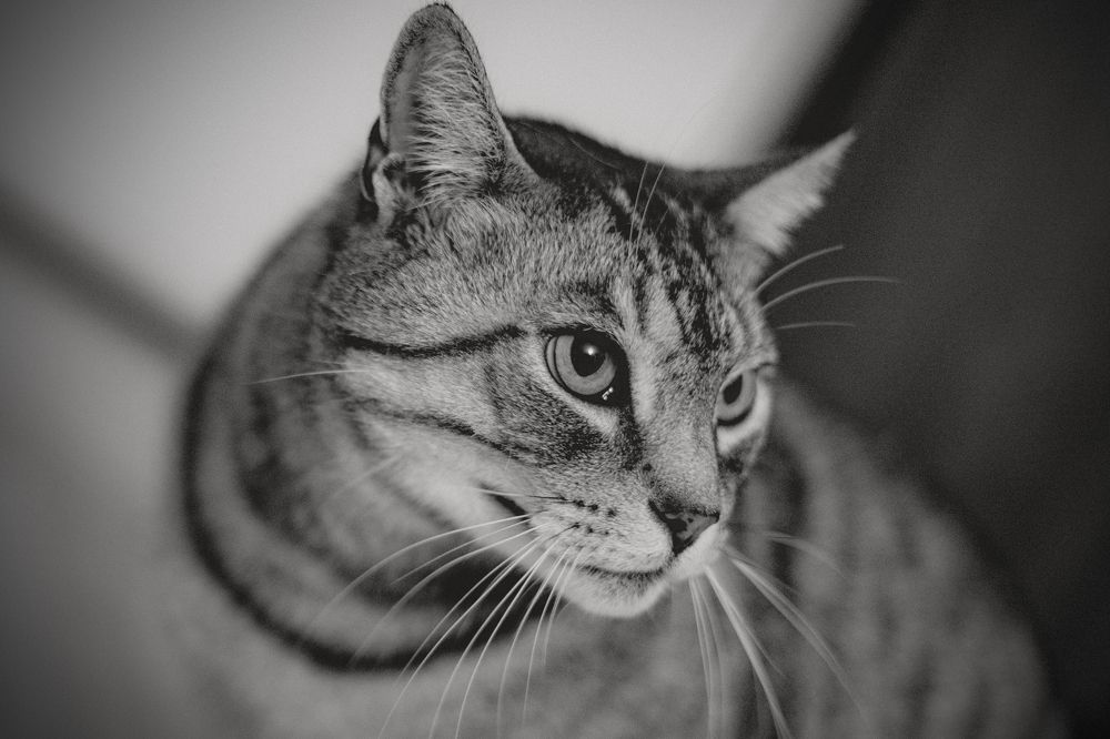 Photograph by Kusy Mariusz