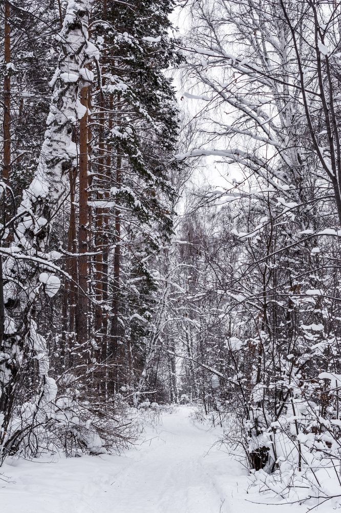 Photograph by Николай Головко