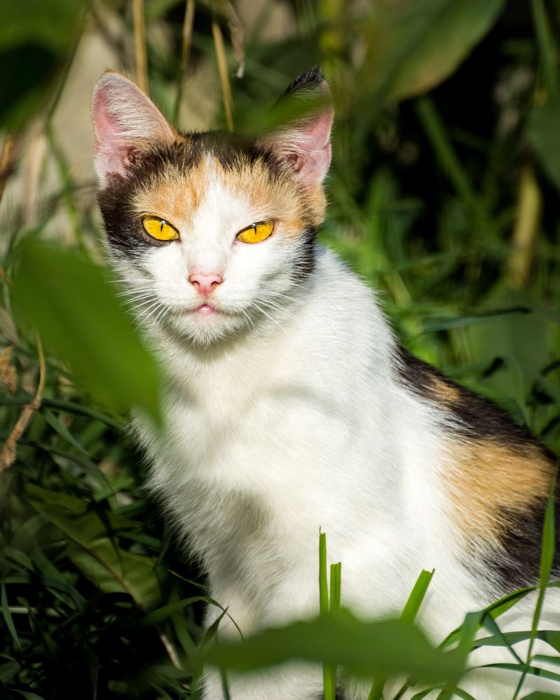 Photograph by Николай Головко