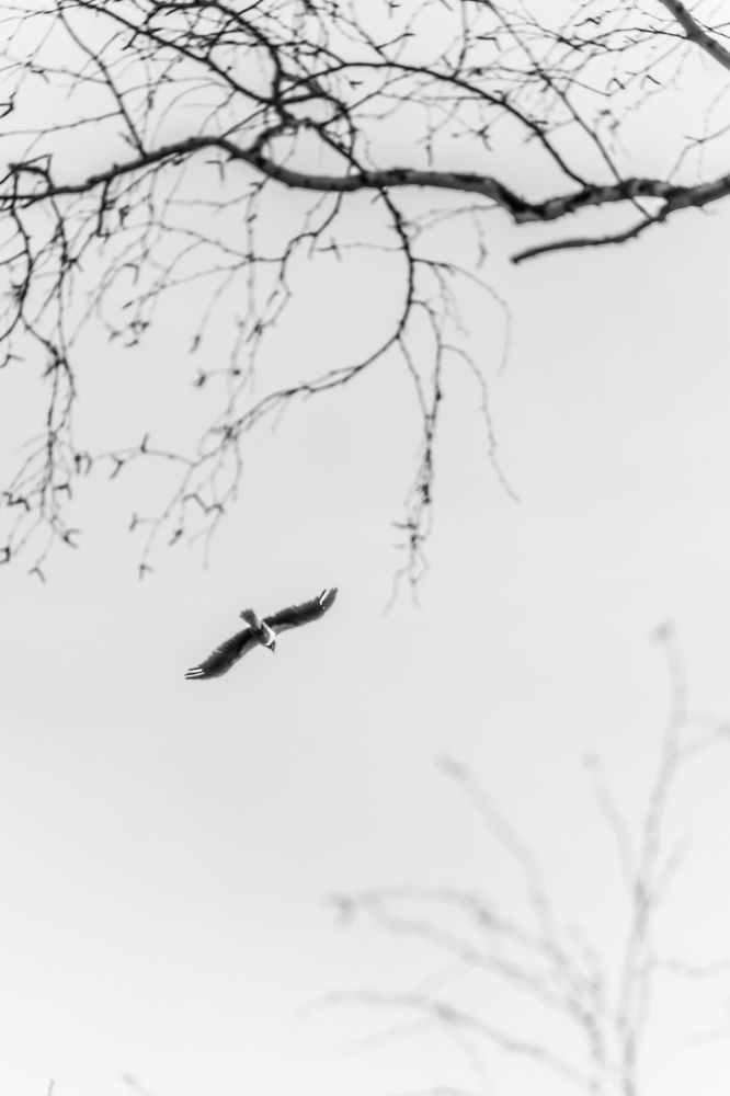 Photograph by Николай Головко