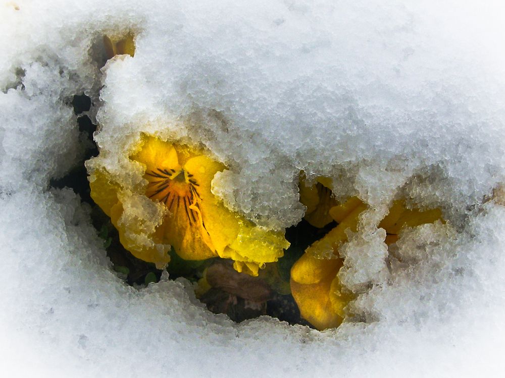 Photograph by Максимова Дария