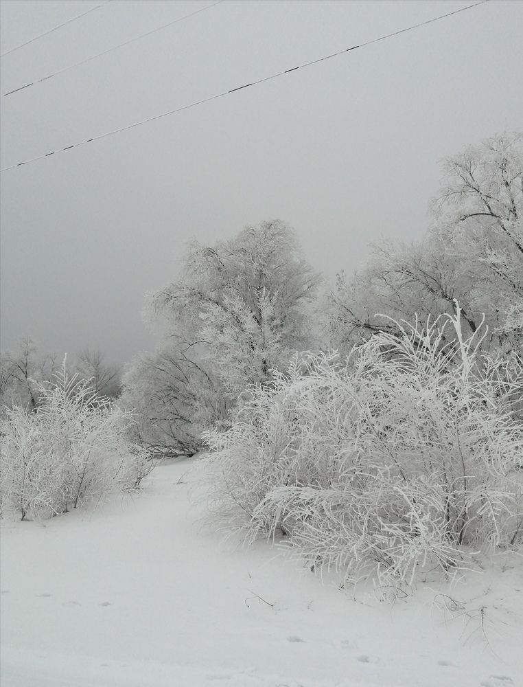 Photograph by Ольга Мокрова