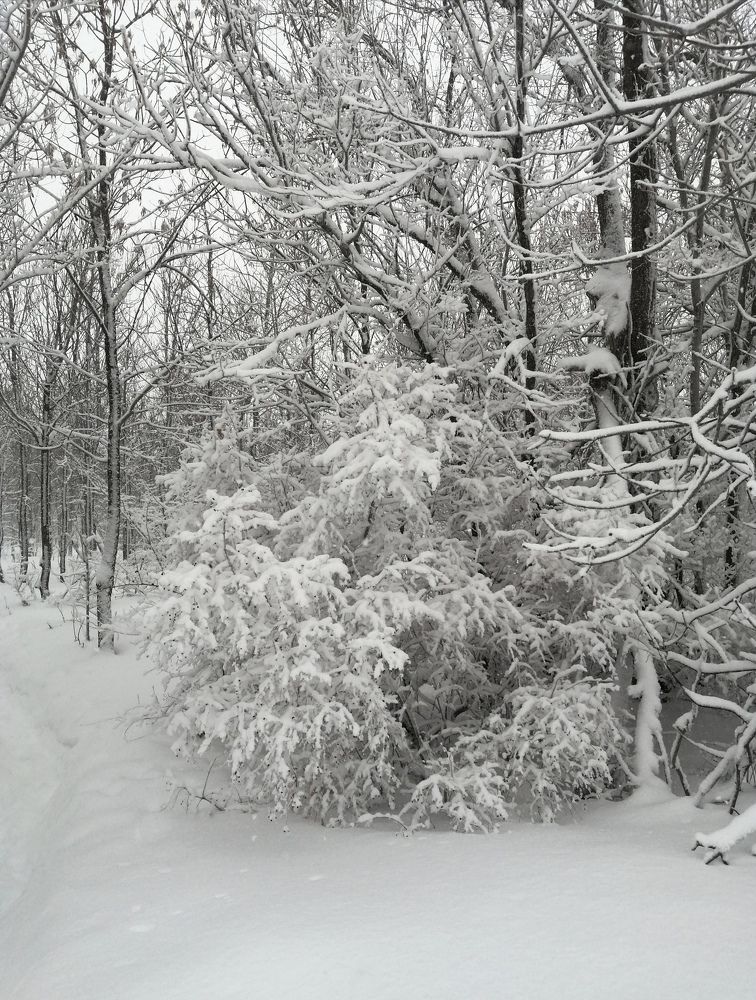 Photograph by Ольга Мокрова