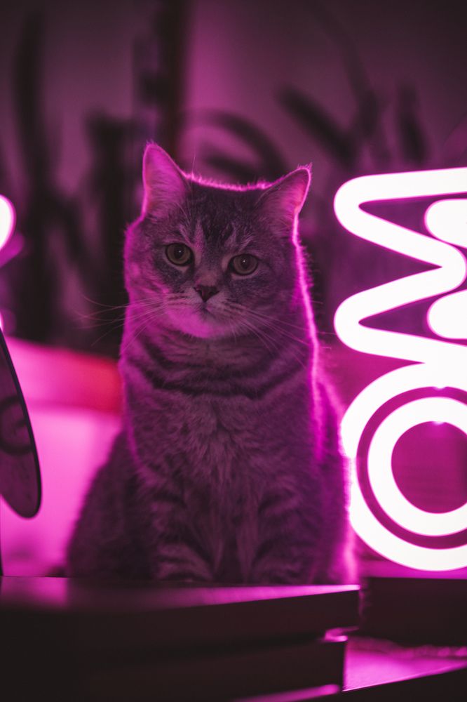 Photograph by Зубков Ярослав