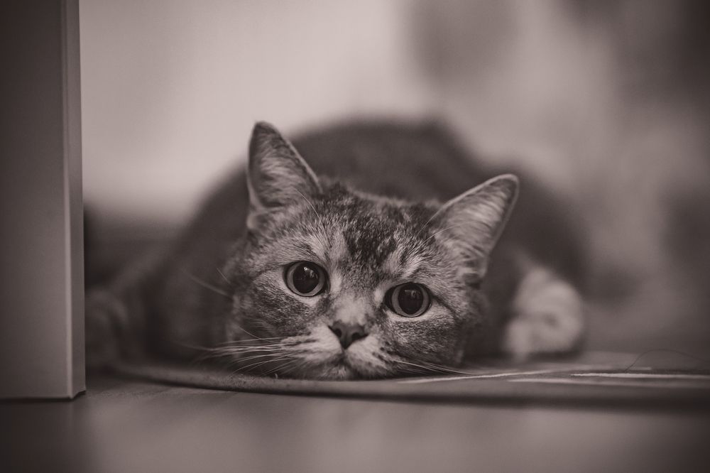 Photograph by Зубков Ярослав