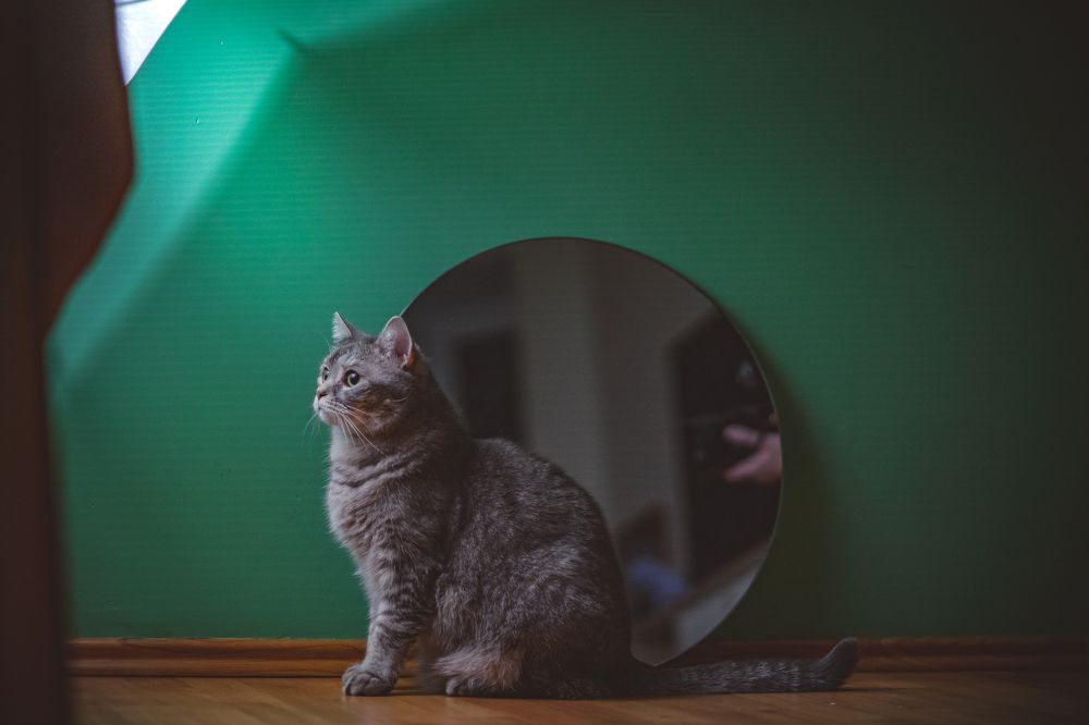 Photograph by Зубков Ярослав