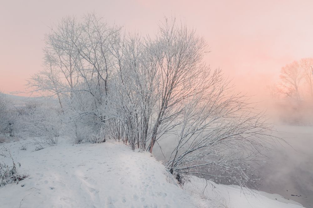 Photograph by Портных Дмитрий