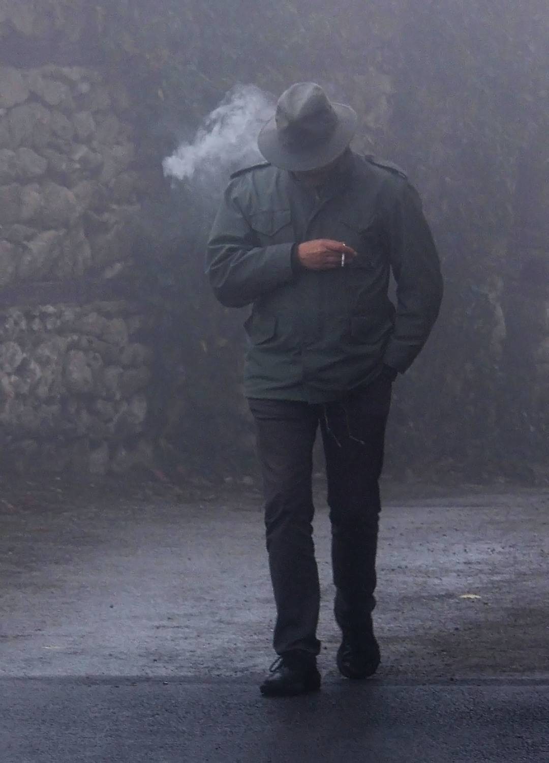 Photo #8690781