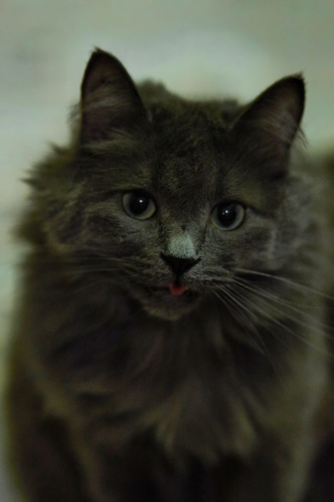 Photograph by Светлана Сафонова