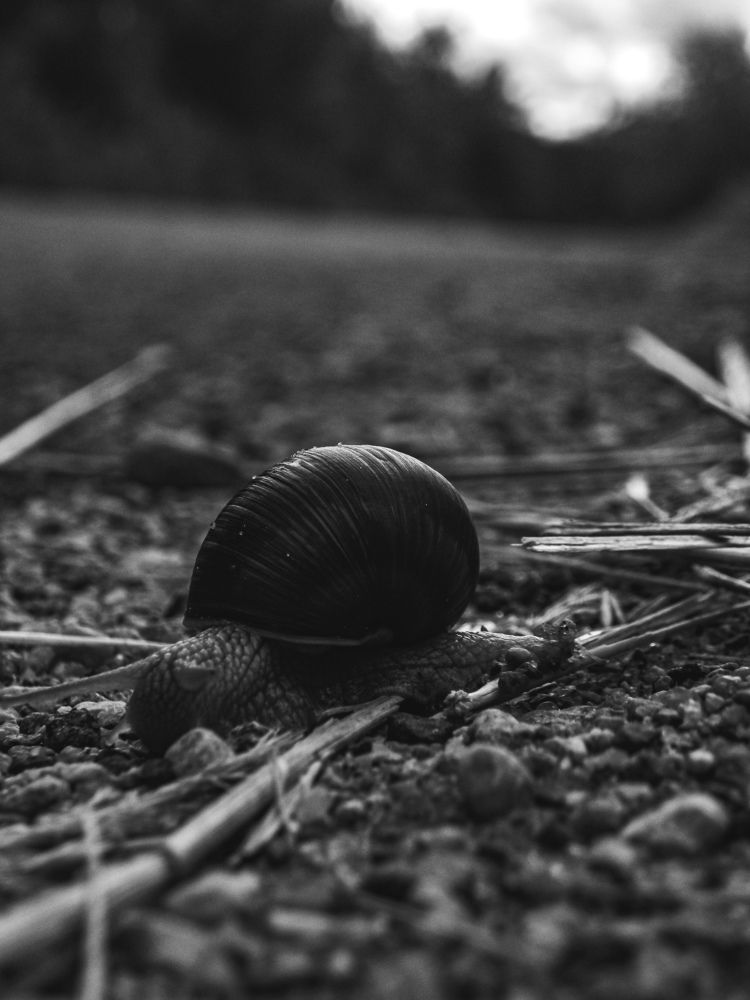 Фотография автора Владислав Базылев