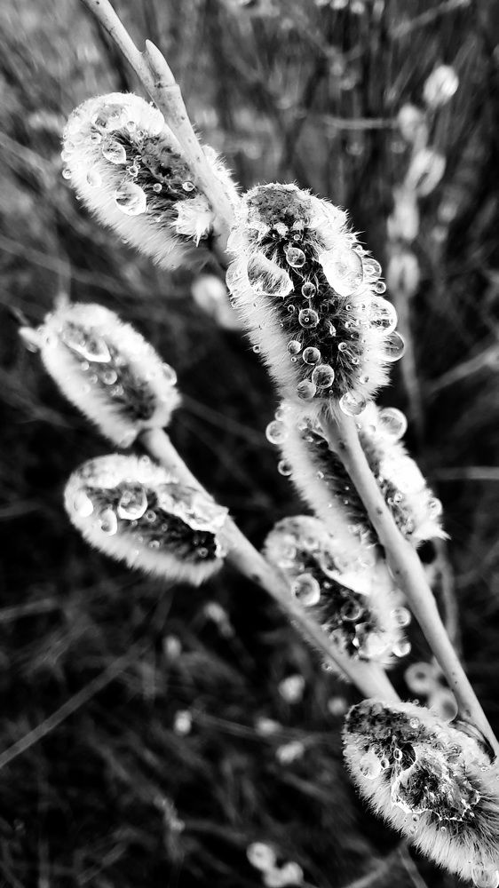 Photograph by Ирина Петракович