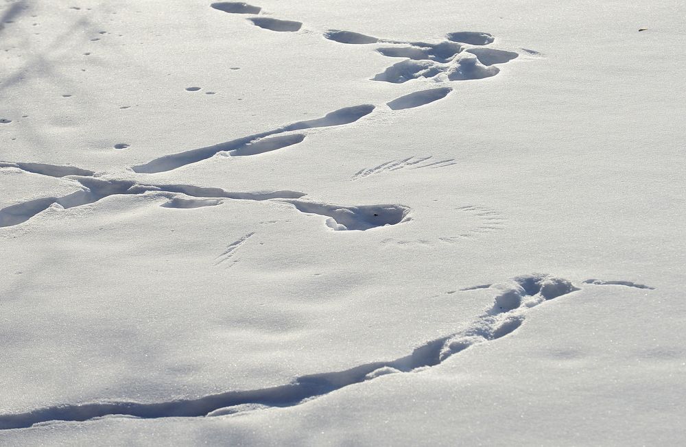 Photograph by Алексей Козлов